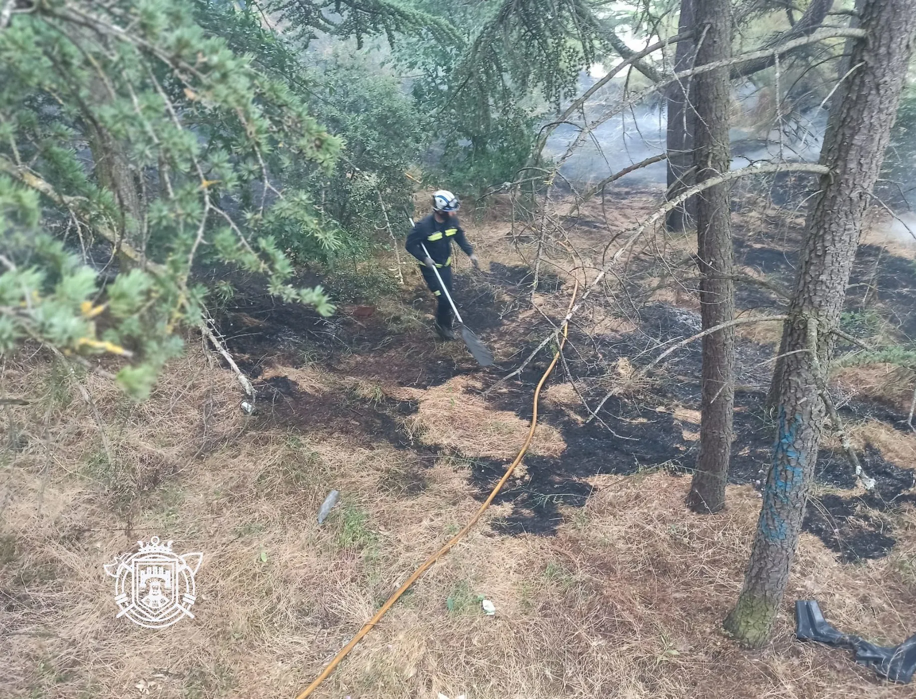 La Junta declara alerta de riesgo de incendios forestales por causas meteorológicas del 10 al 15 de julio en toda la Comunidad