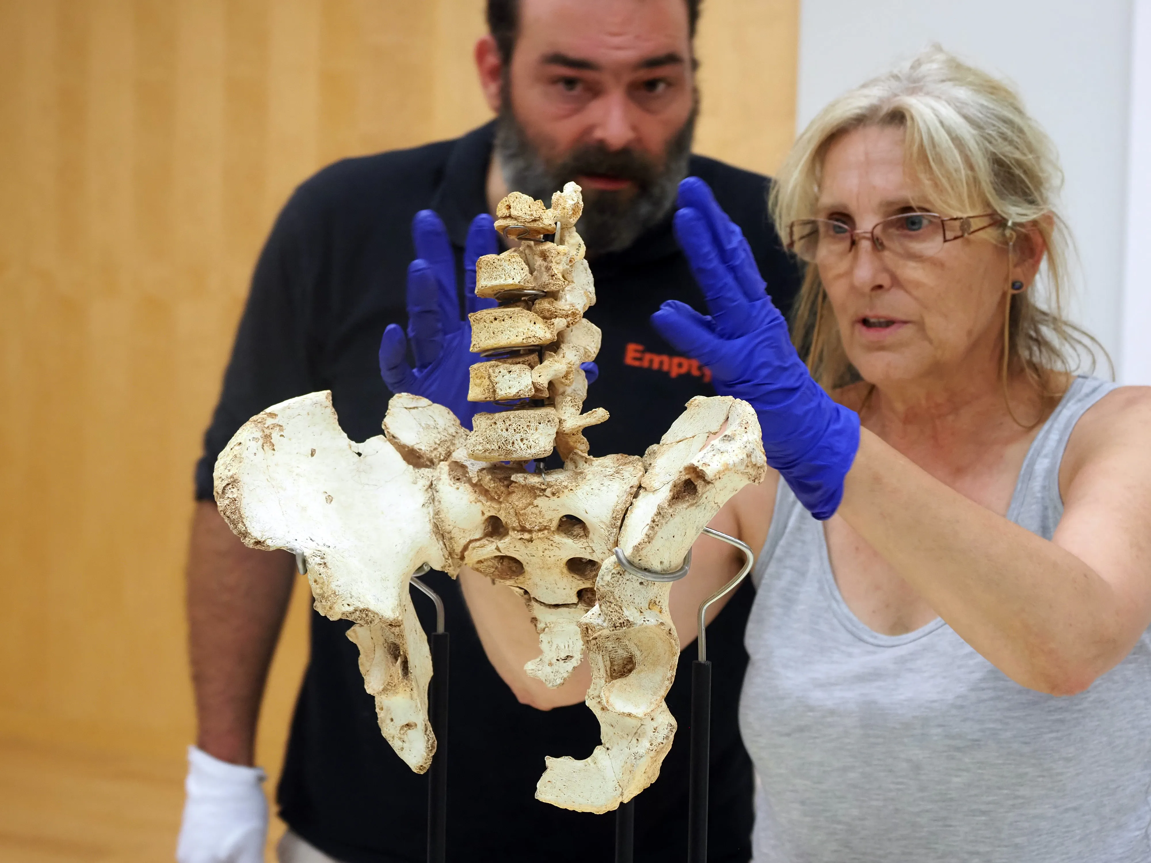 El MEH celebra su 12º aniversario con la presentación de las vértebras lumbares de la pelvis Elvis de Atapuerca