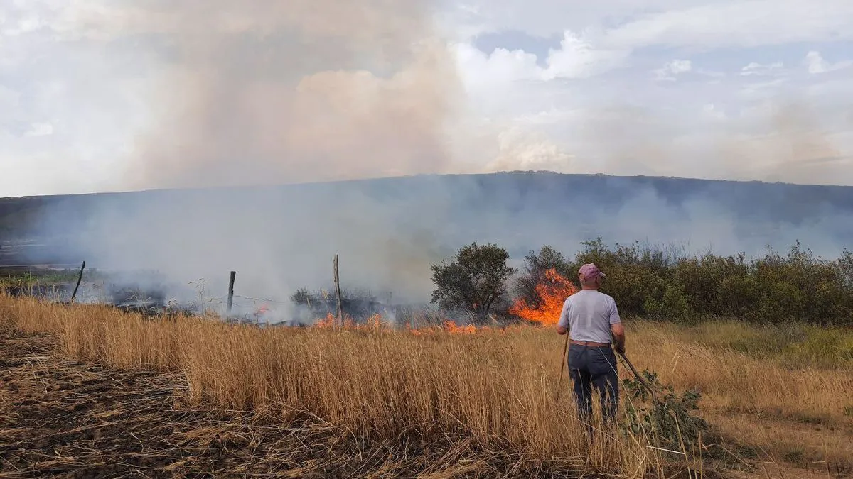 Las altas temperaturas provocan cerca de 165 incendios en Castilla y León