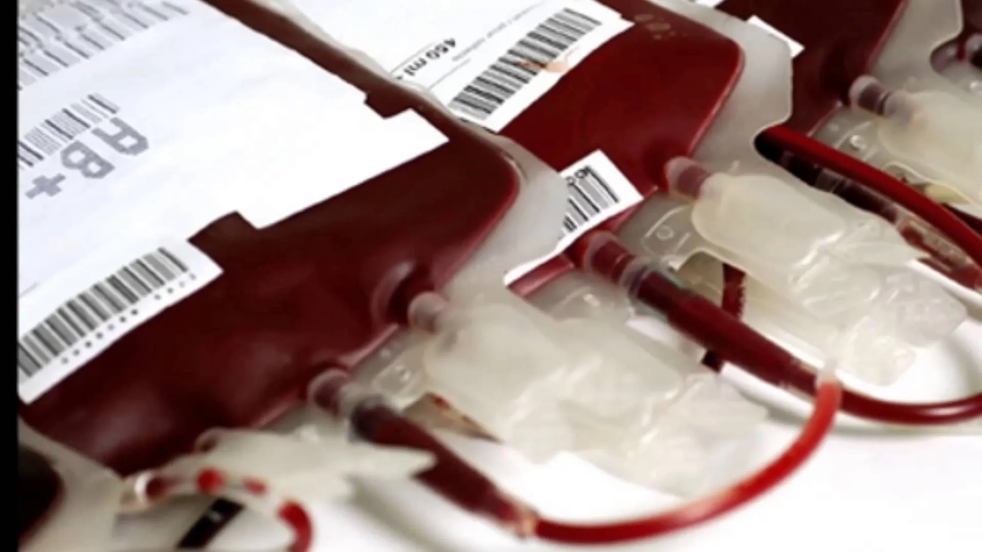 Burgos roza las 10.000 donaciones de sangre en el primer trimestre del año