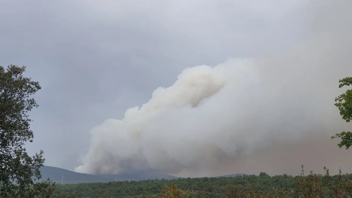 Ibercaja activa un plan especial para los agricultores y ganaderos damnificados por la ola de incendios forestales