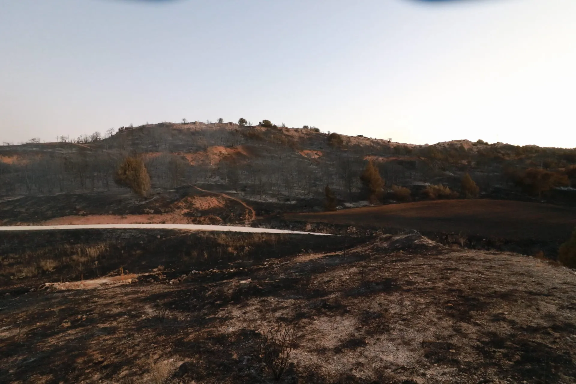 Destinados 800.000 &euro; para necesidades de alimento y agua en explotaciones ganaderas afectas por incendios
