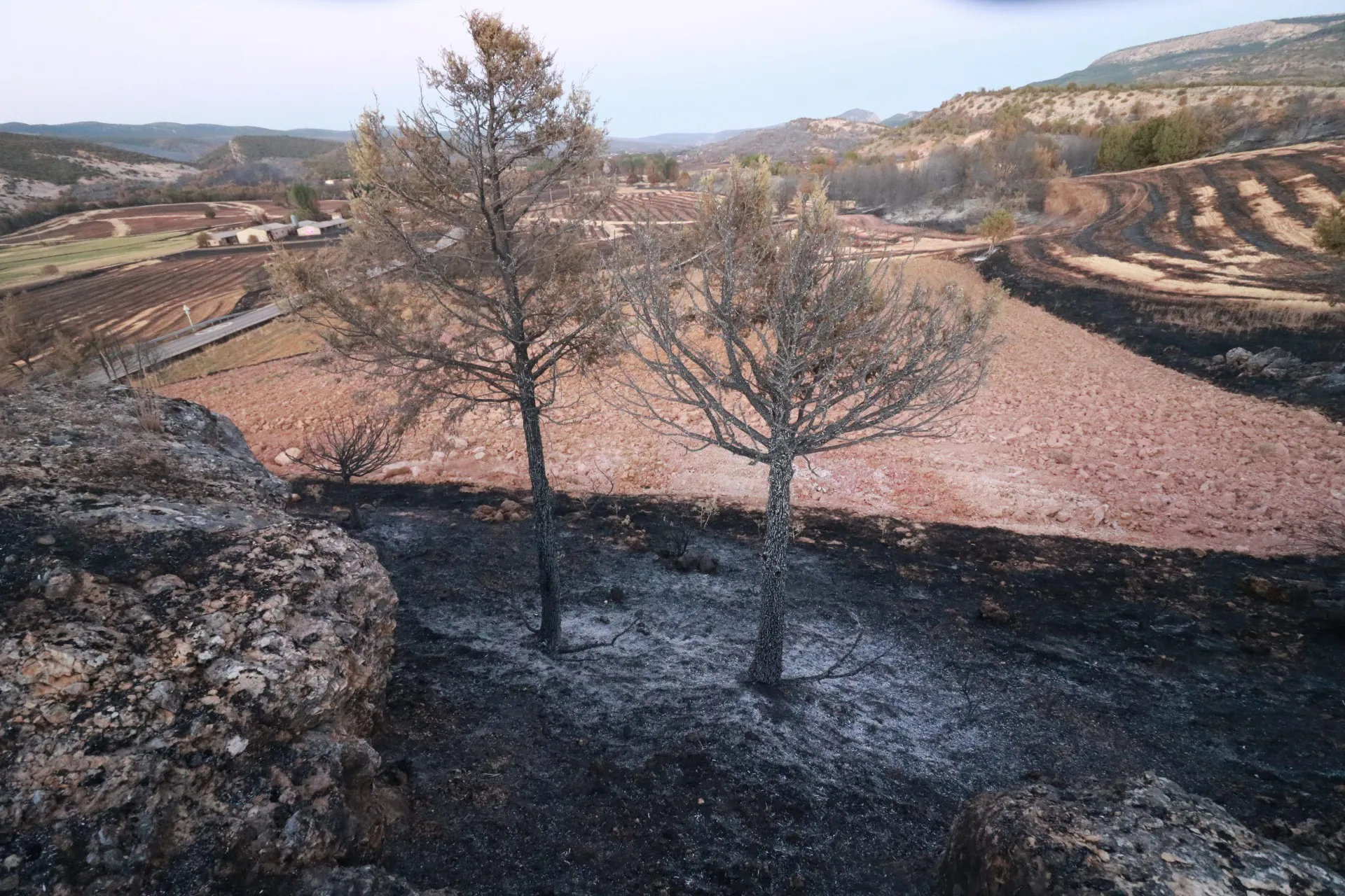 Briones: Tenemos un operativo de incendios que es del siglo pasado