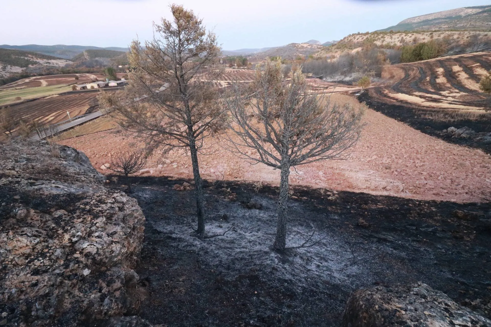 Rechazada la Proposición del PSOE para que la Junta adopte medidas urgentes de prevención de incendios en Castilla y León