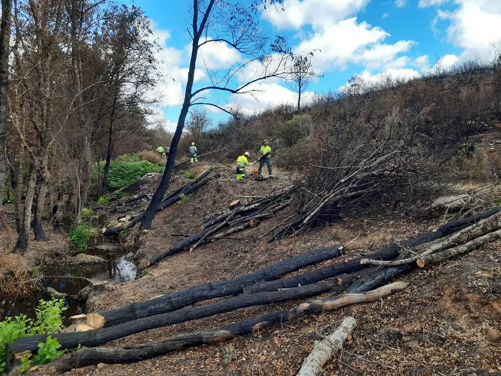 La CHD inicia actuaciones en cinco cauces afectados por el incendio de la Sierra de la Culebra