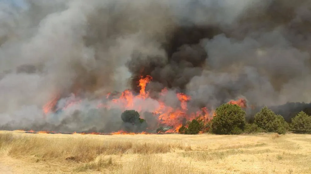La comarca del Arlanza podrá optar a líneas de ayuda ministeriales tras el incendio de Quintanilla del Coco
