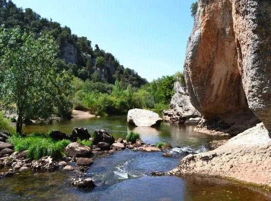 La UBU organiza una ruta para conocer la fauna y flora de la Ribera del Arlanza