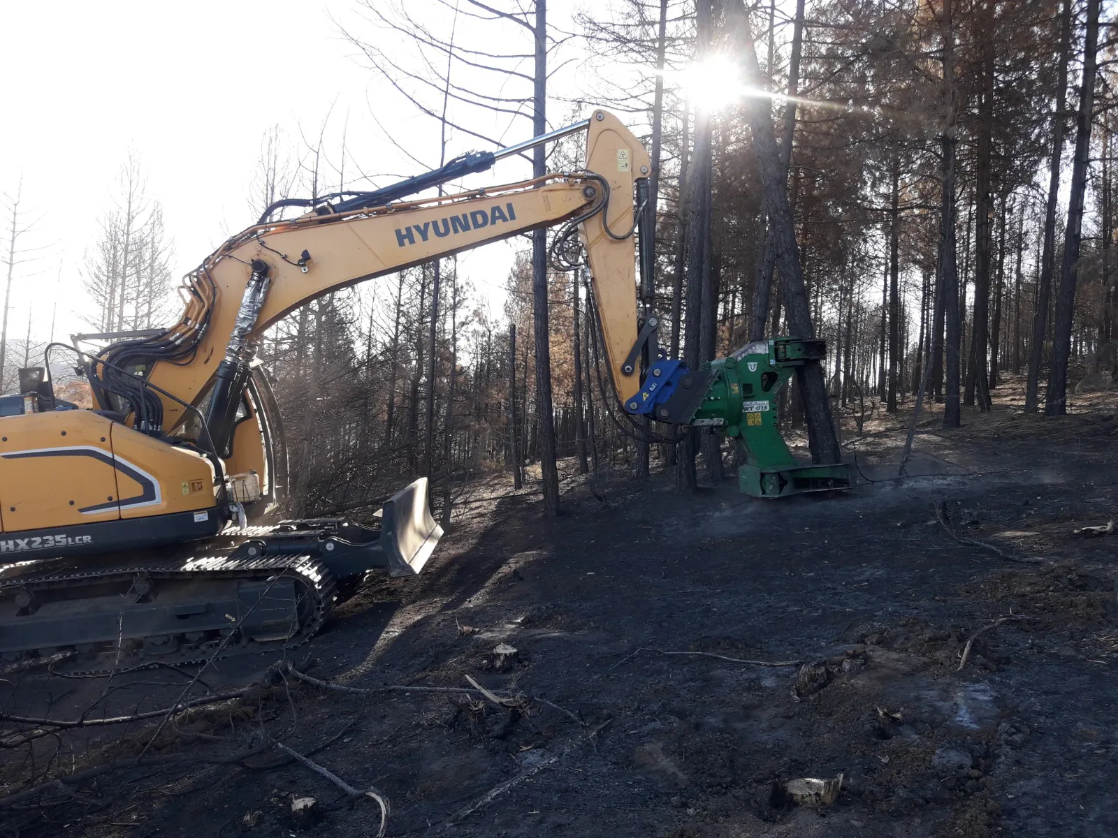 Comienza la retirada del arbolado quemado en el incendio forestal de Quintanilla del Coco
