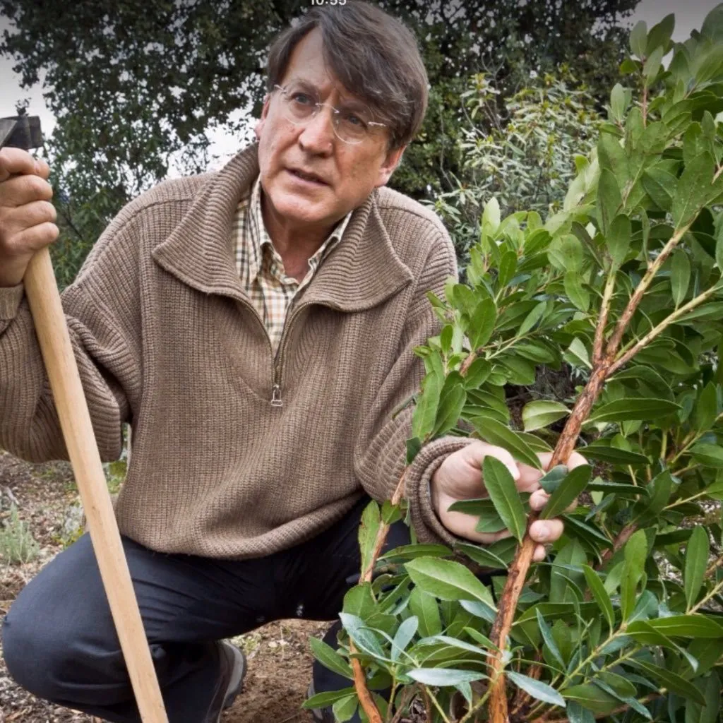 El Museo de la Evolución Humana acoge la presentación del libro ‘Somos agua que piensa’ del naturalista Joaquín Araujo