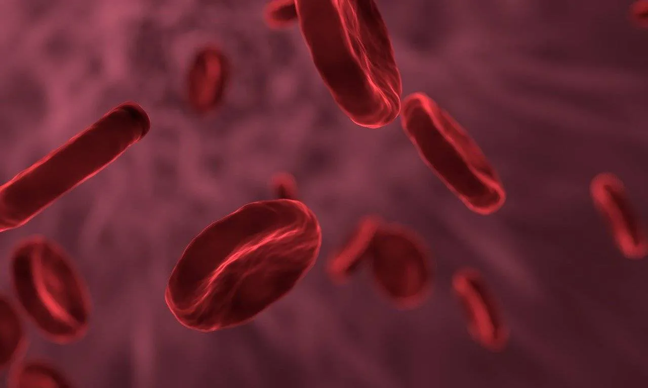 La donación de plasma aumenta un 7% en la Comunidad