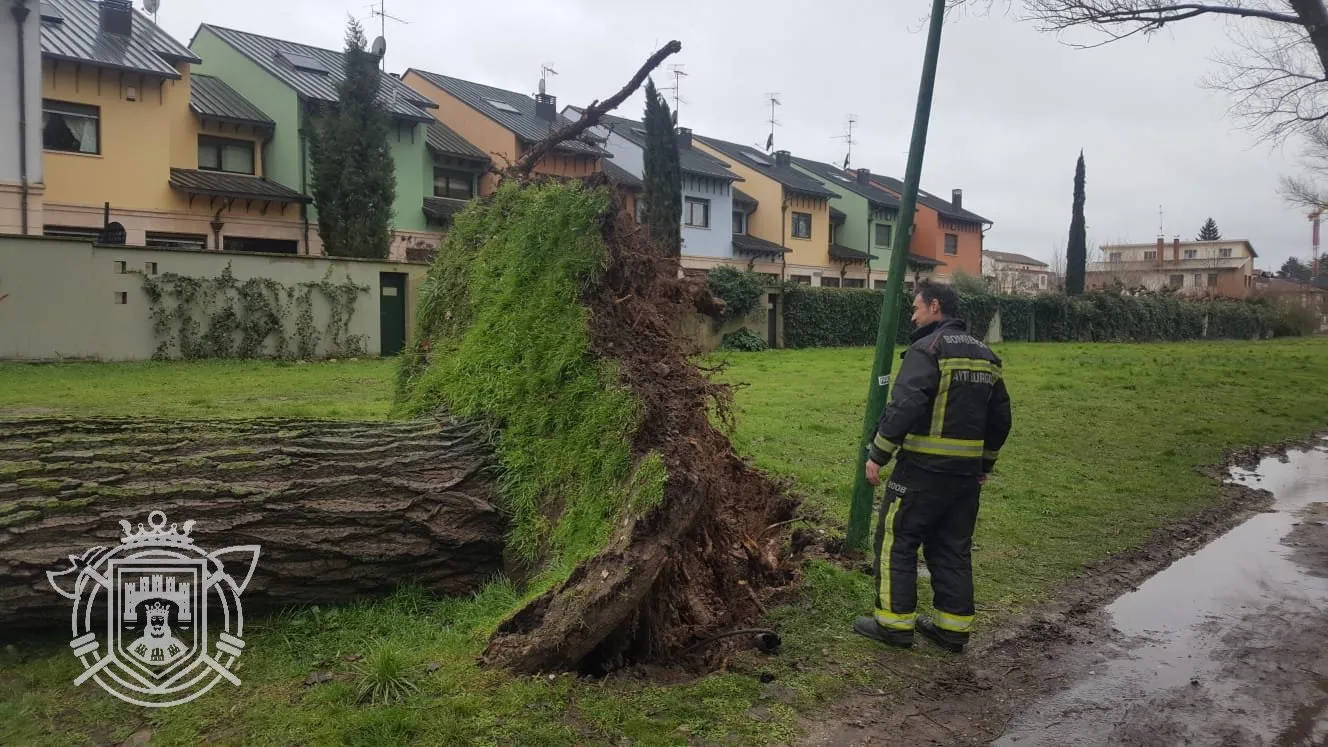 Burgos comienza el fin de semana con aviso amarillo por ráfagas de viento, que serán más graves el domingo