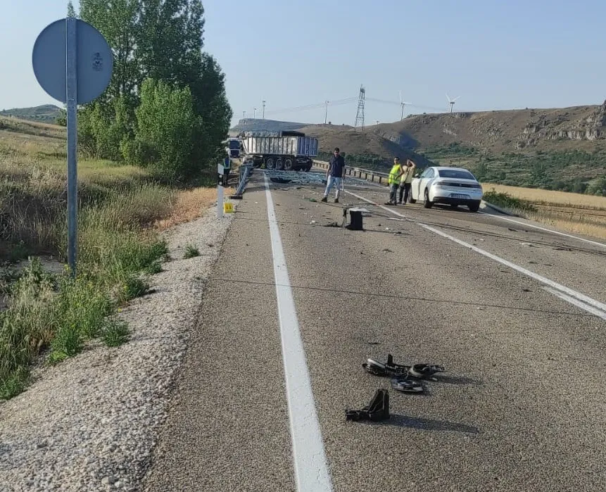 Burgos, entre las cinco provincias españolas con mayor porcentaje de accidentes automovilísticos causados por animales