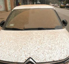 Aviso por intrusión de polvo sahariano y empeoramiento de la calidad del aire en Burgos