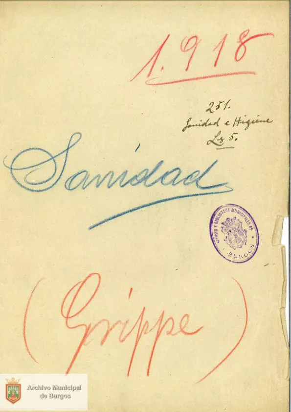 Historia Burgos: La gripe de 1918 en Burgos