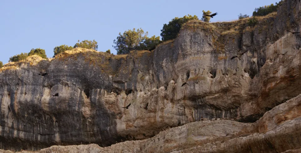 El Parque Natural Sabinares del Arlanza-La Yecla afronta la recta final para presentar su adhesión a la Carta Europea de Turismo Sostenible