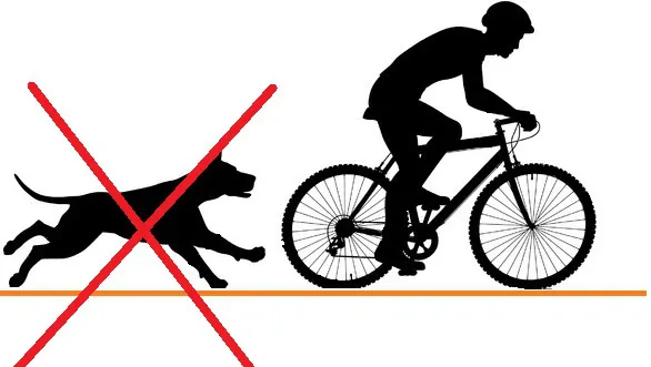 Un perro suelto persigue a cicilistas en el Pº de los atletas y la dueña insulta a la policía