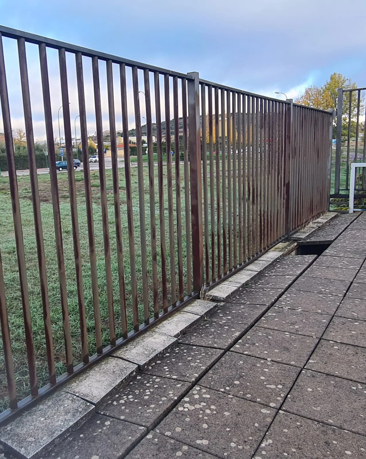 Foto 4 - Los descuidos imprudentes de los exteriores del Polideportivo Jos&eacute; Luis Talamillo
