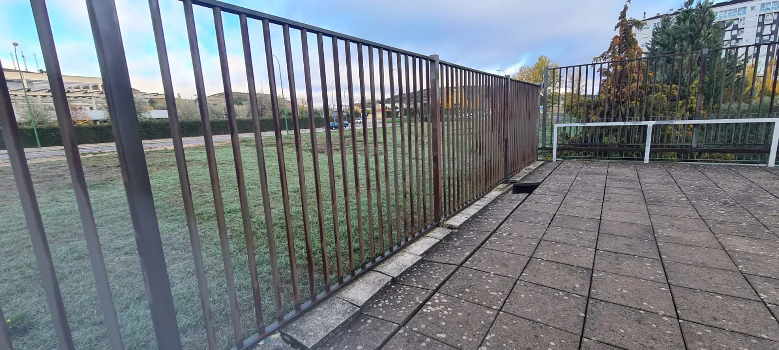Foto 5 - Los descuidos imprudentes de los exteriores del Polideportivo Jos&eacute; Luis Talamillo