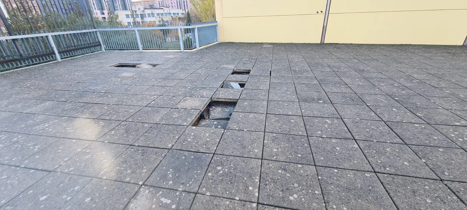 Foto 6 - Los descuidos imprudentes de los exteriores del Polideportivo Jos&eacute; Luis Talamillo