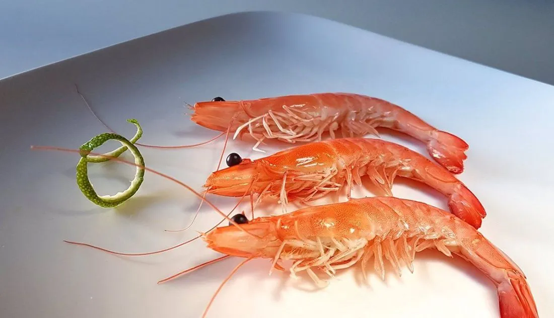 La OCU especifica cómo deben ser los langostinos congelados que compremos