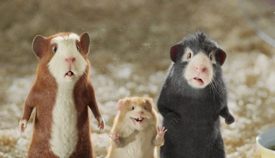 Estos son los animales que no puedes tener en casa