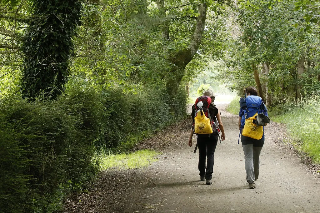 Los peregrinos del Camino de Santiago depositaron 49 toneladas de envases en las papeleras de losalbergues de CyL durante este verano