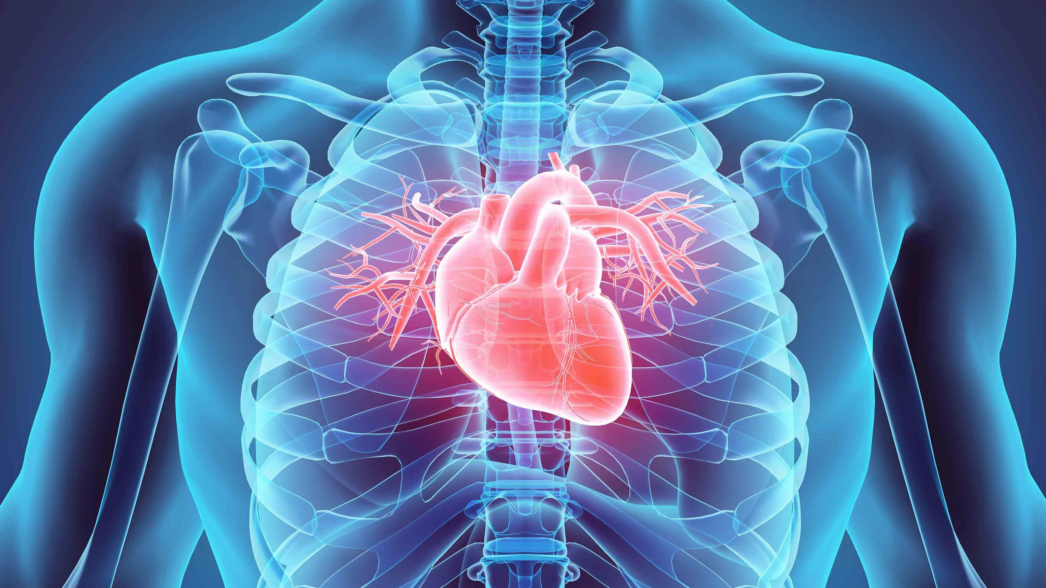 El Colegio Médicos de Burgos y Daiichi Sankyo organizan una campaña de prevención del riesgo cardiovascular entre la población