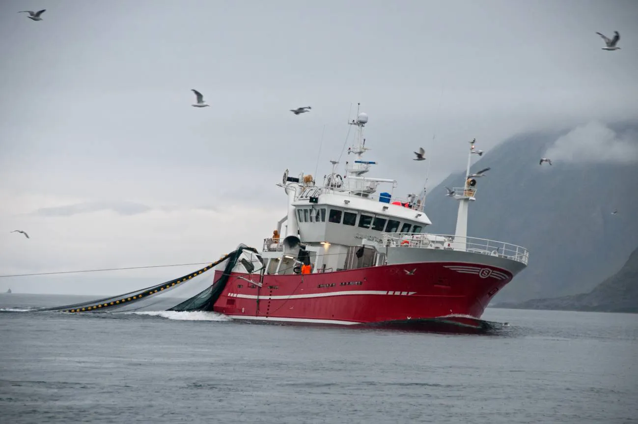 La importacia y garantía de la pesca sostenible