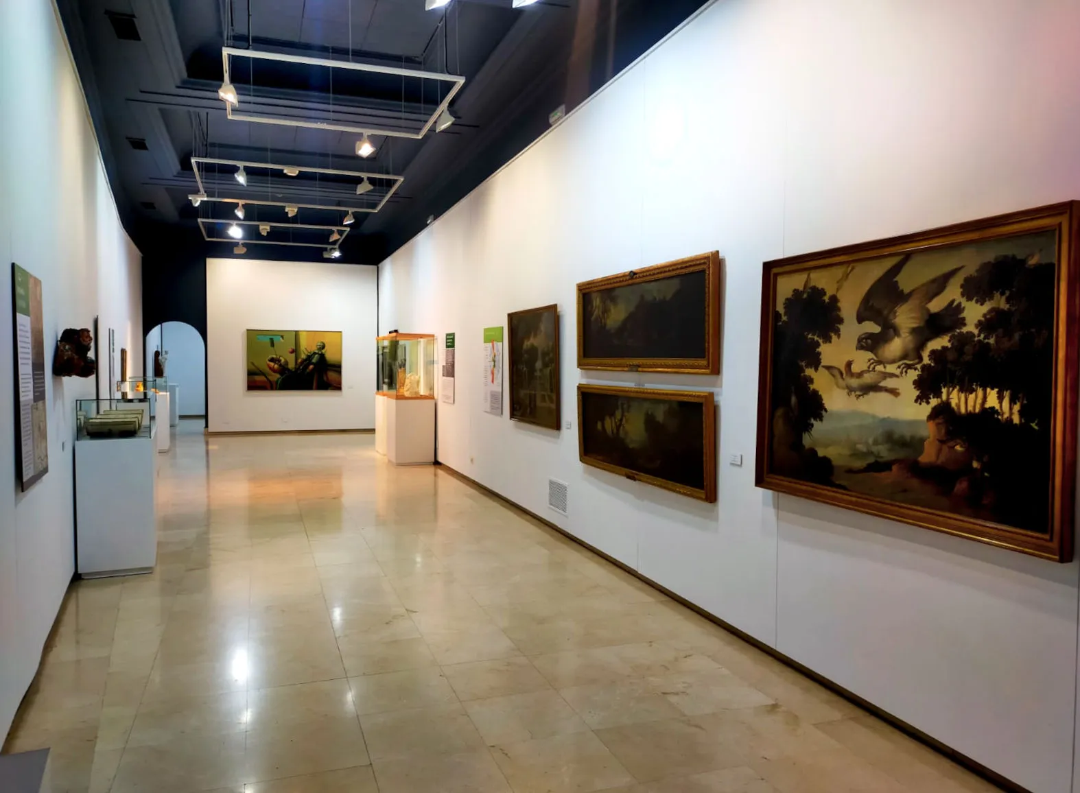 La UBU y el Museo de Burgos organizan la primera exposición en España sobre historia de la contabilidad