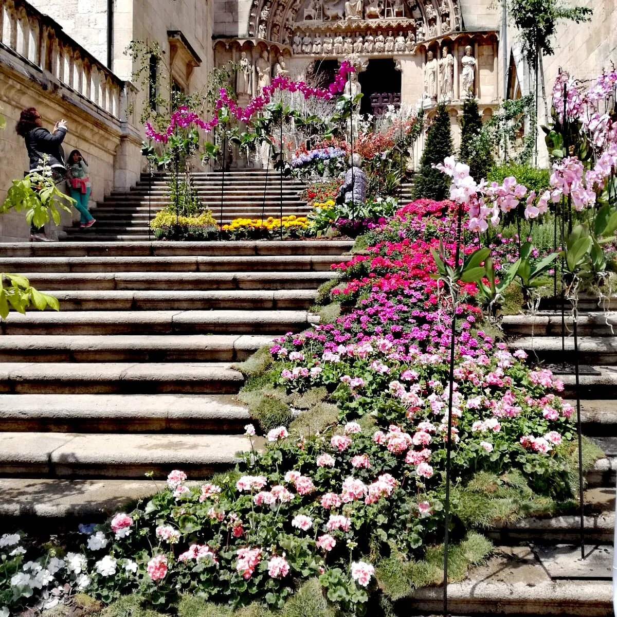 Nunca dejes de florecer, el lema escogido para la Fiesta de las Flores de este año