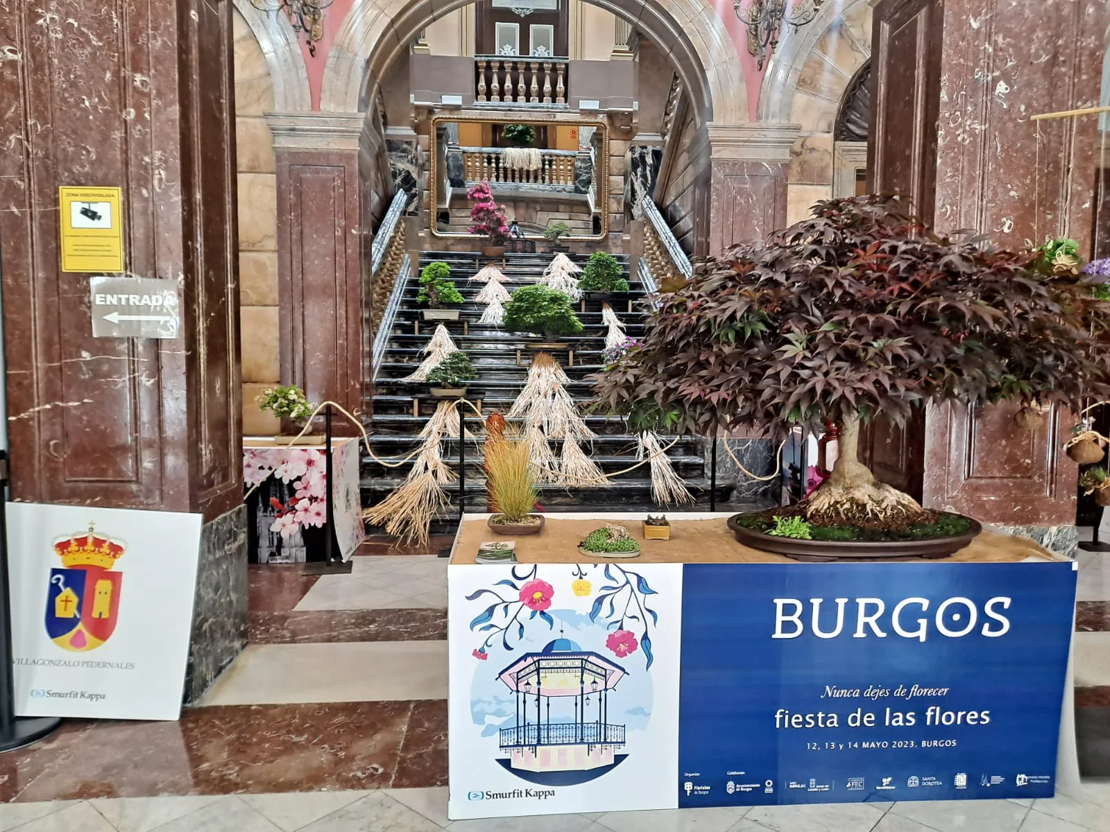Foto 15 - &iexcl;Bienvenidos a la Fiesta de las Flores de Burgos! Recorrido por los principales puntos decorativos