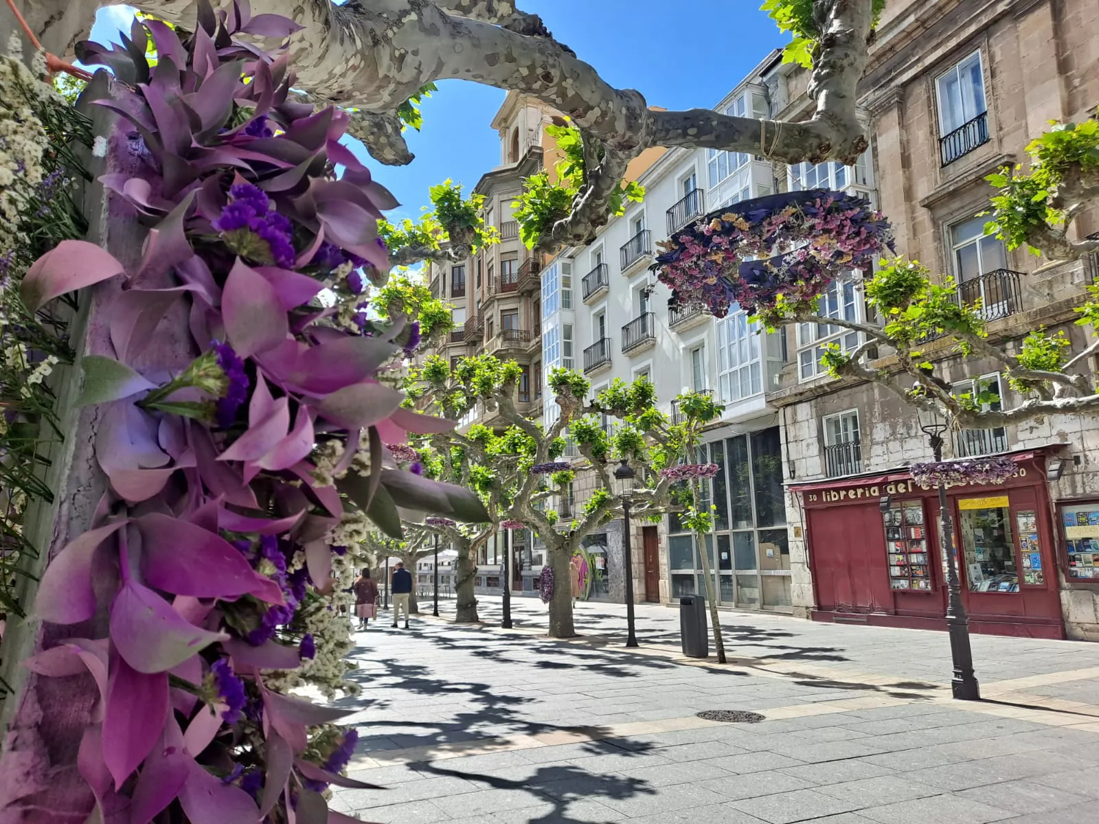 Foto 18 - &iexcl;Bienvenidos a la Fiesta de las Flores de Burgos! Recorrido por los principales puntos decorativos