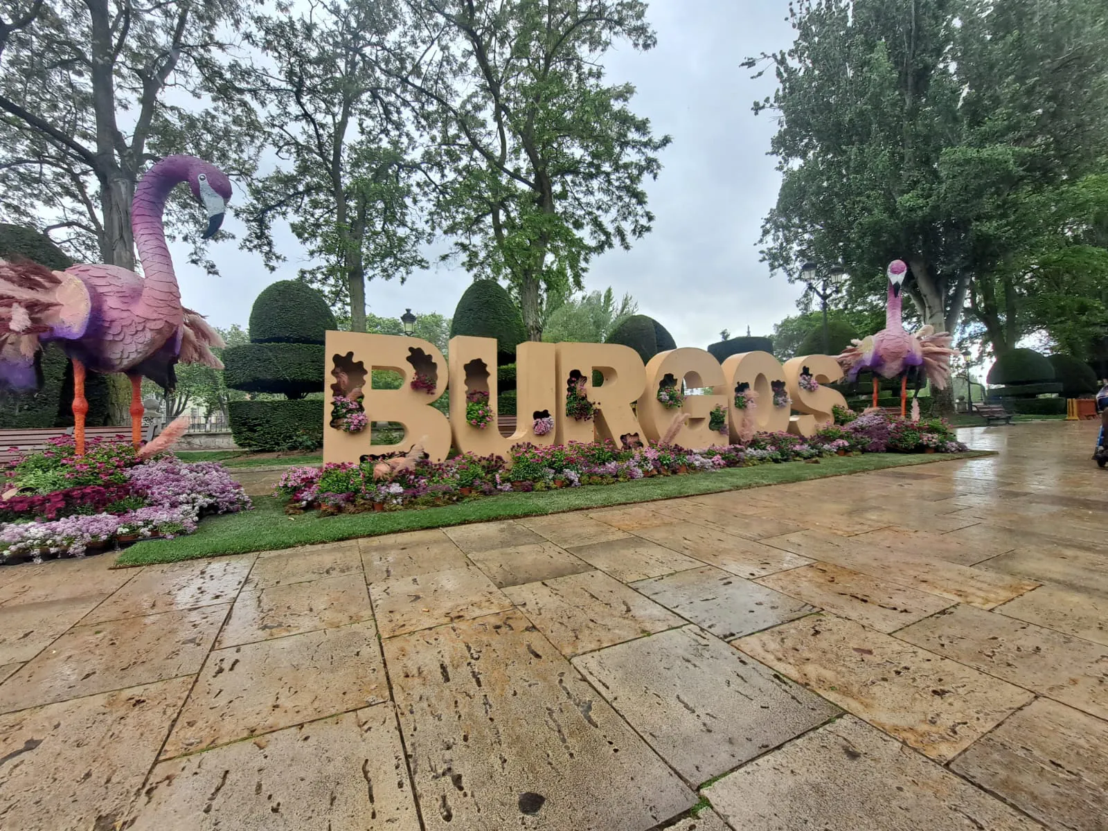 Foto 8 - &iexcl;Bienvenidos a la Fiesta de las Flores de Burgos! Recorrido por los principales puntos decorativos