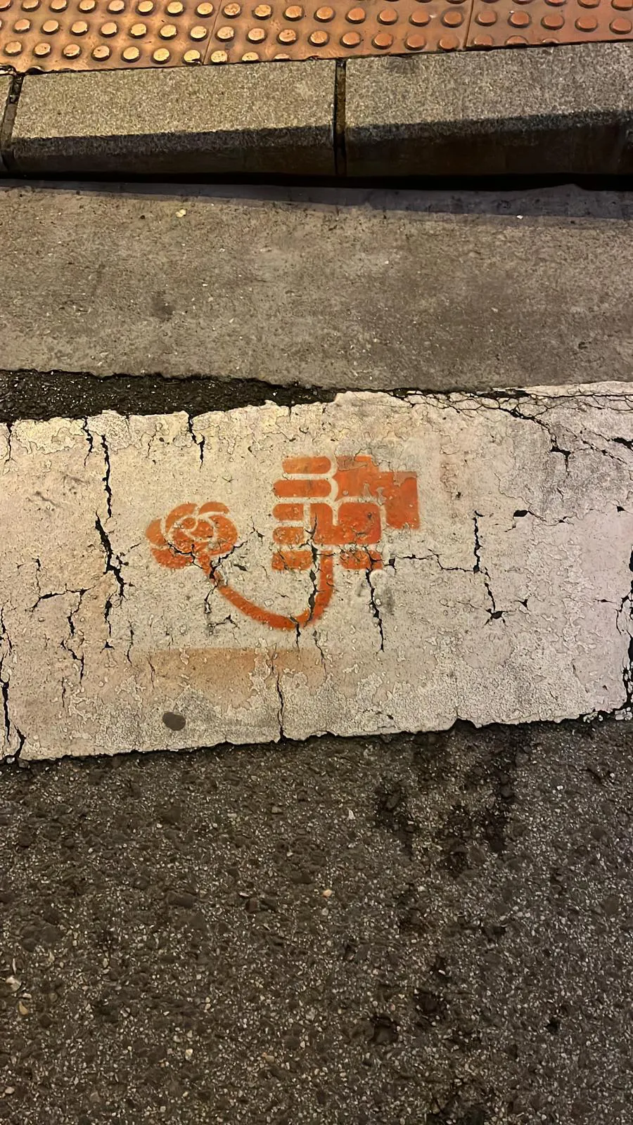 Foto 6 - El PSOE denuncia al PP ante la Junta Electoral y ante el Juzgado de Instrucci&oacute;n por &lsquo;vandalizar&rsquo; el mobiliario urbano de Burgos