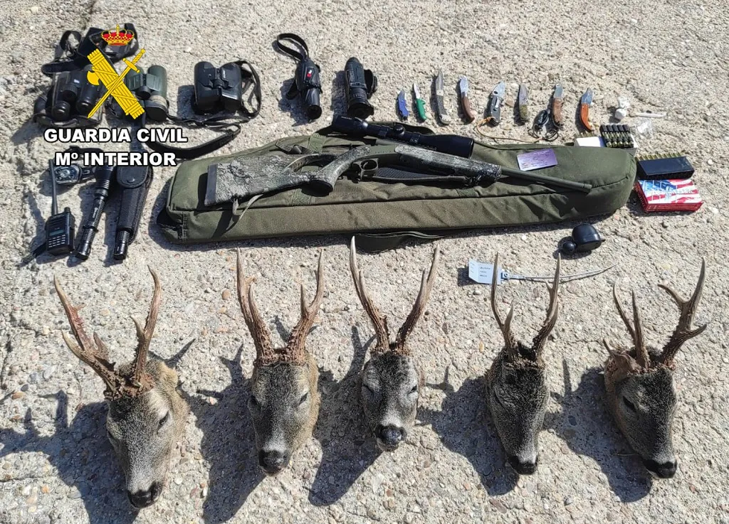 La Guardia Civil interviene cinco cabezas de corzo por prácticas furtivas