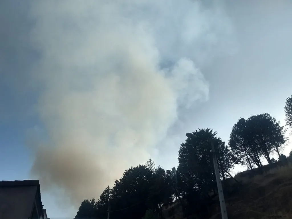 La Junta declara hoy la alerta por riesgo de incendios forestales en toda la Comunidad