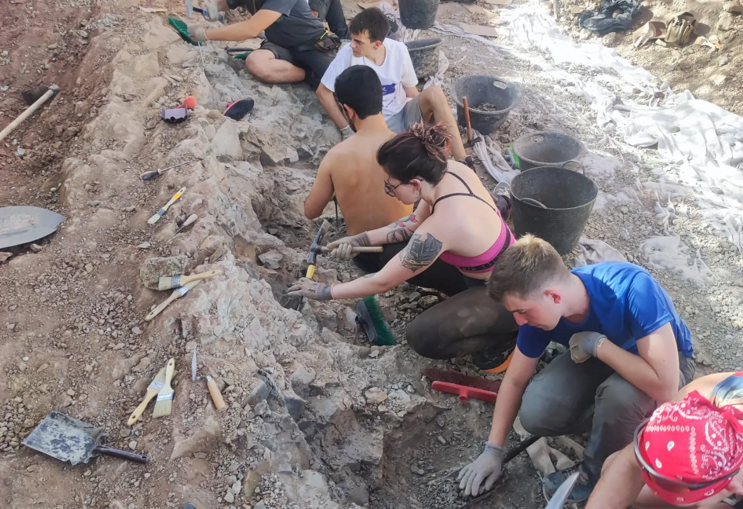 Historia Burgos: Primeros resultados ilusionantes de la XX Campaña de excavaciones de dinosaurios en la Sierra de la Demanda