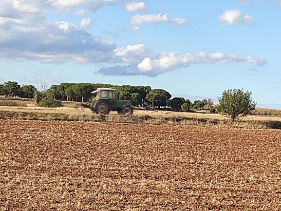 La Junta impulsa el intercambio de conocimiento con Portugal sobre la concentración parcelaria