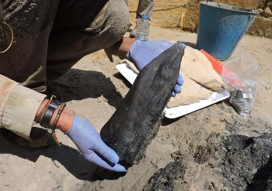 Hallan la construcción de madera más antigua del mundo
