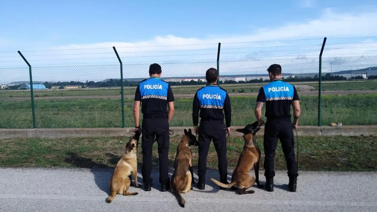 Bomberos, policías locales y voluntarios vuelven a las aulas para continuar su formación