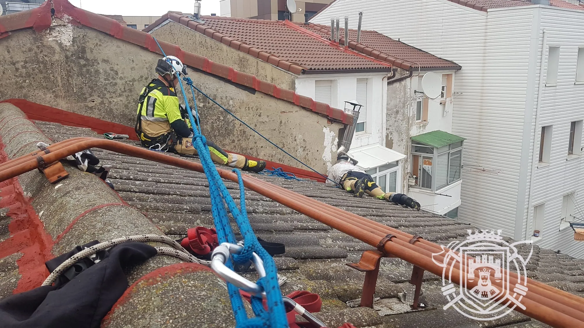 Sellan un nido de avispa en un vecindario en la calle San Pedro y San Felices