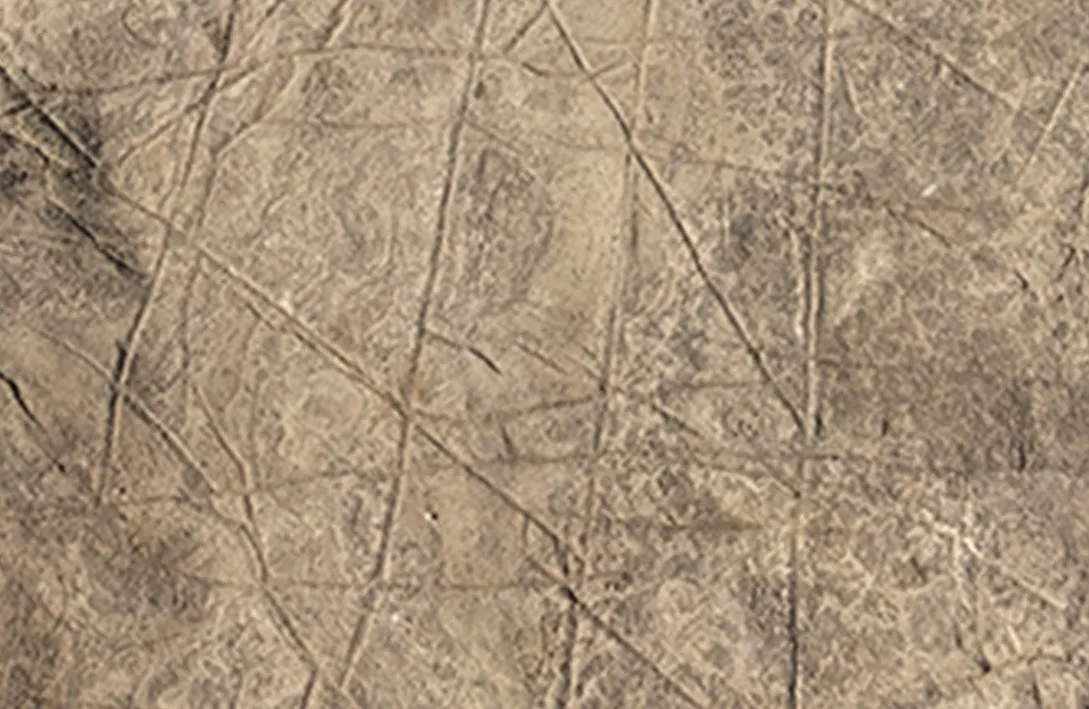 No hay pruebas de que Homo naledi tuviera comportamientos cognitivamente avanzados