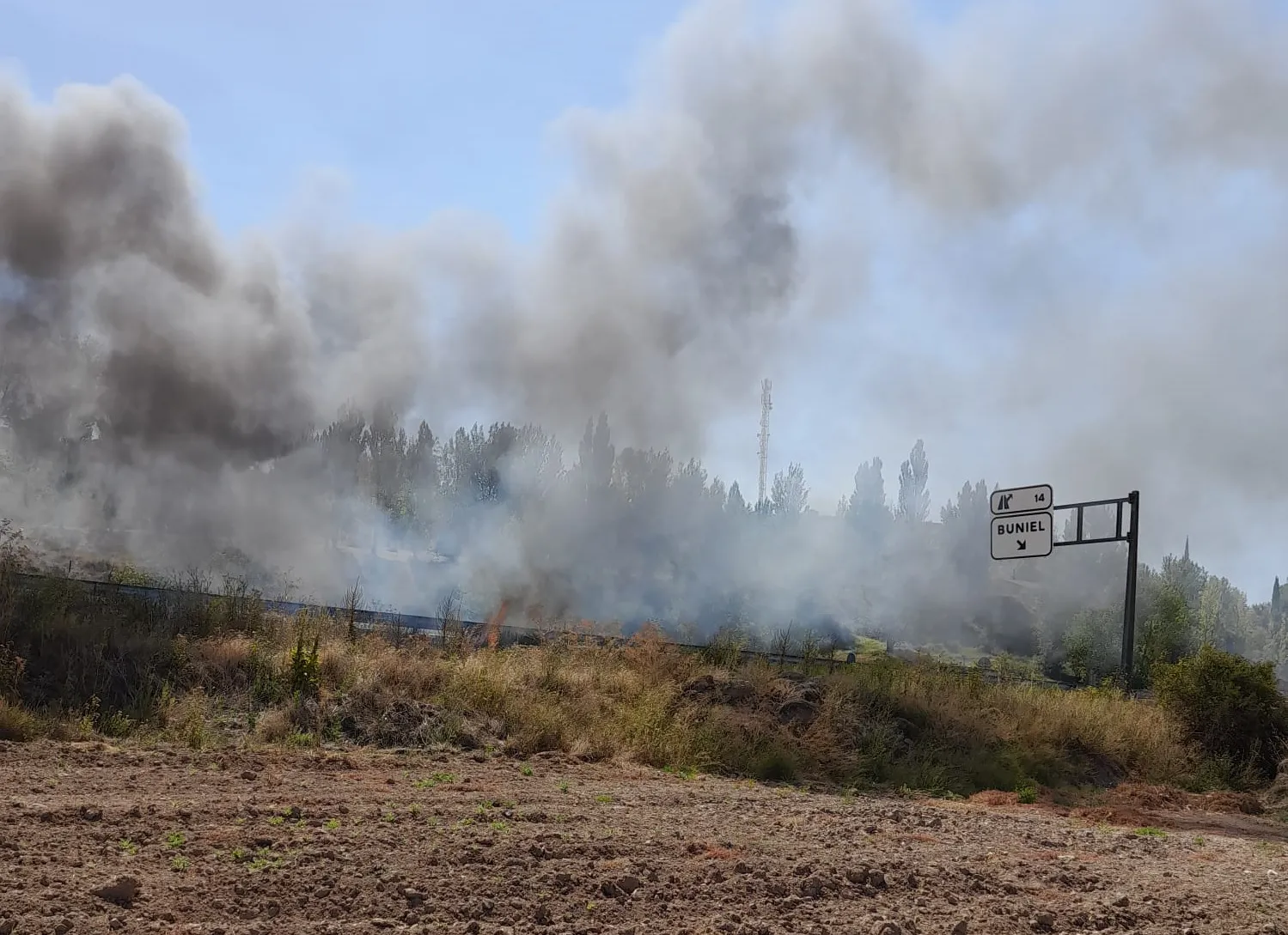 Las hectáreas forestales quemadas en 2023 descienden un 83% respecto a la media del decenio