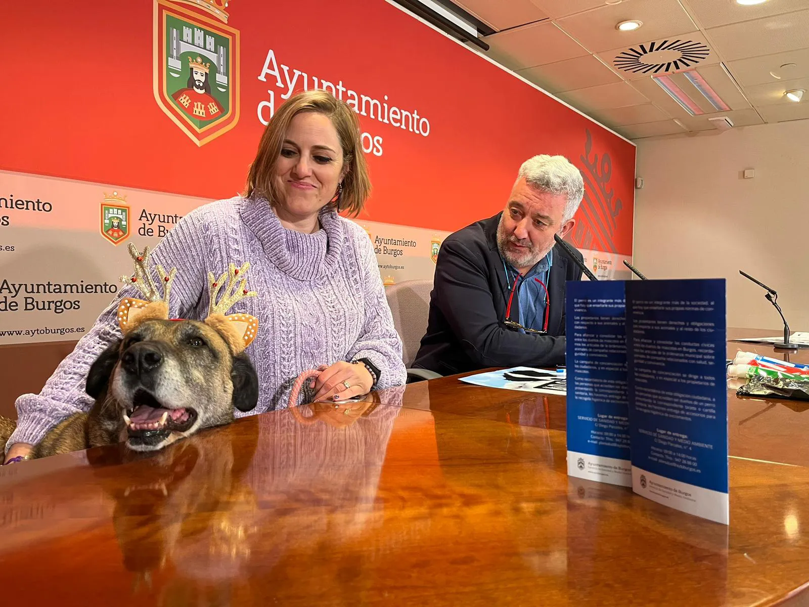 Judith Sánchez, de PROANBUR: 7 de cada 10 animales nunca encontrarán un hogar