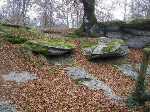 Burgos se une a las celebraciones del Día Mundial de la Educación Ambiental