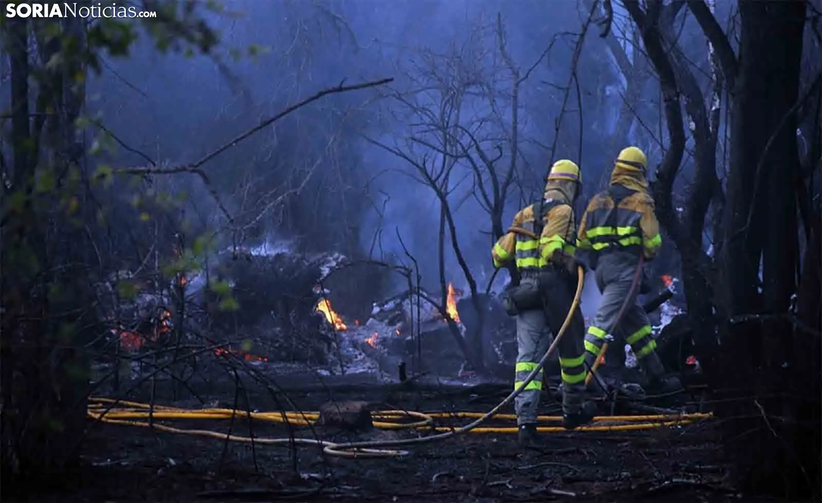 Sociedad y Vida Burgos: El estado hídrico de los árboles, clave en la evaluación del riesgo de incendios