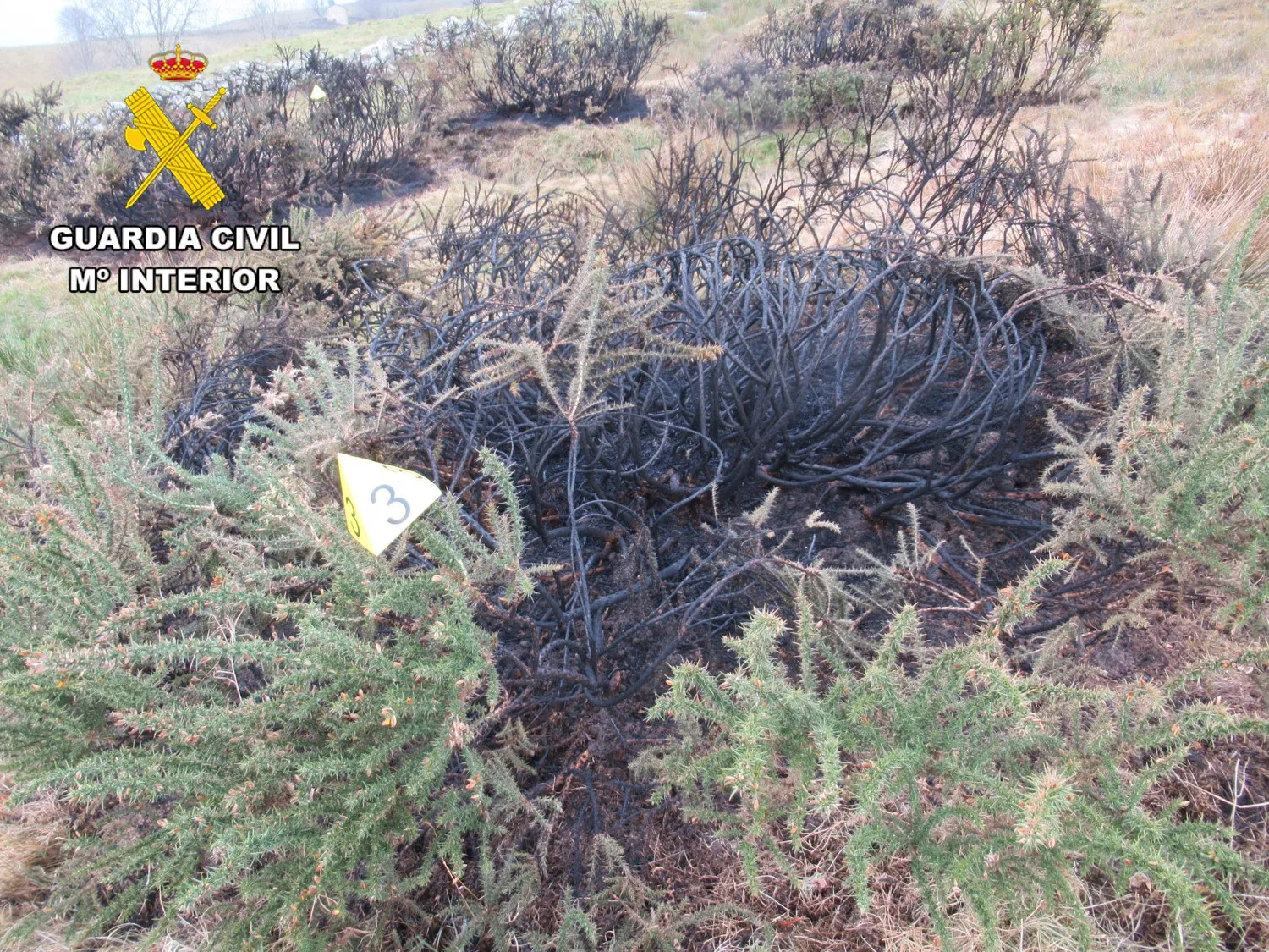 La Guardia Civil investiga a una persona por el incendio forestal en el paraje Rioseco, en Espinosa de los Monteros