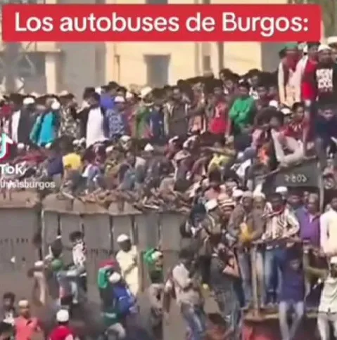 Sociedad y Vida Burgos: La gratuidad de los autobuses urbanos, meme de internet