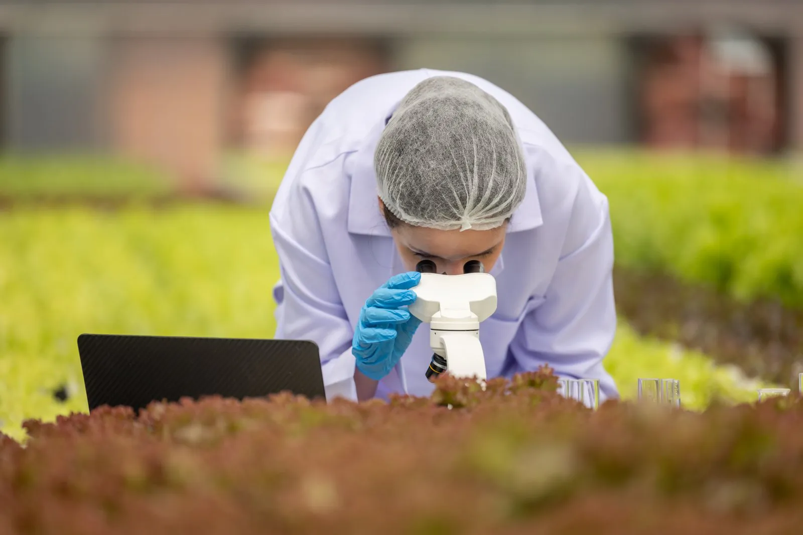 Nueva técnica de visión de bajo coste con inteligencia artificial para la agricultura de precisión