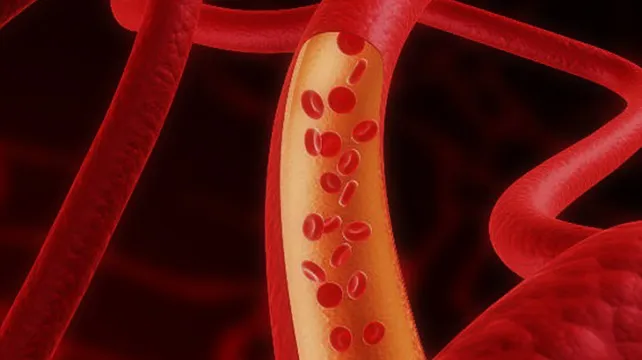 Sociedad y Vida Burgos: La inclinación de venas pulmonares en el corazón influye en el riesgo de trombos